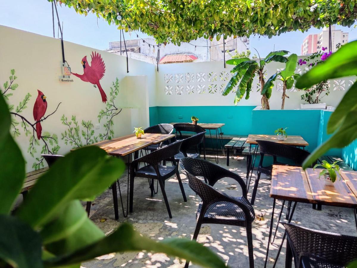 Bona Vida Hostel Ríohacha